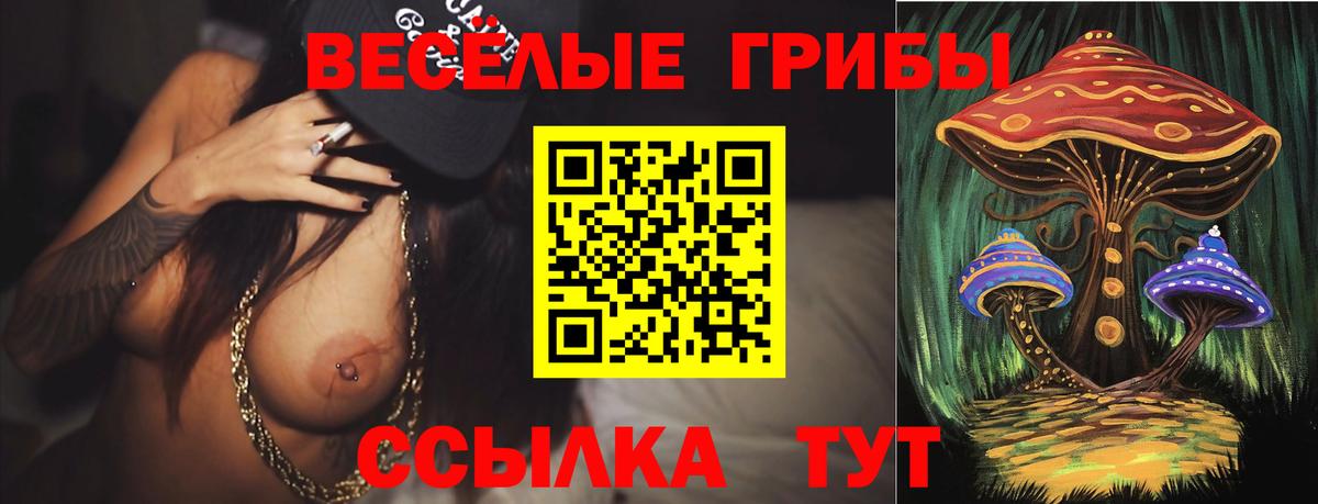 Лениногорск  Галлюциногенные грибы Magic Shrooms  Вход с VPN 